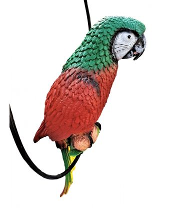 PAPUGA NA KOLE - CZERWONA...