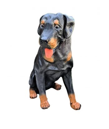 DUŻY SIEDZĄCY ROTTWEILER...