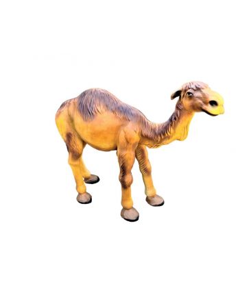 DUŻY WIELBŁĄD STOJĄCY