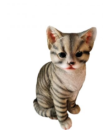 ŚREDNI SIEDZĄCY KOT / KOTEK...