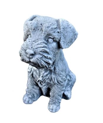 PIES / SZCZENIAK - SZNAUCER...