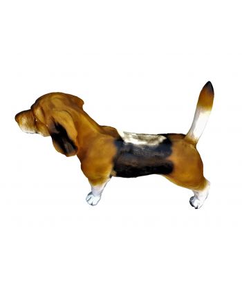 PIES RASY BEAGLE - OGON W GÓRĘ