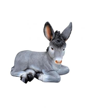 MAŁY SIWY OSIOŁEK LEŻĄCY