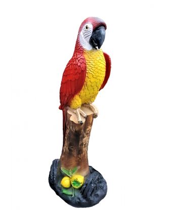 DUŻA CZERWONA PAPUGA NA PNIU