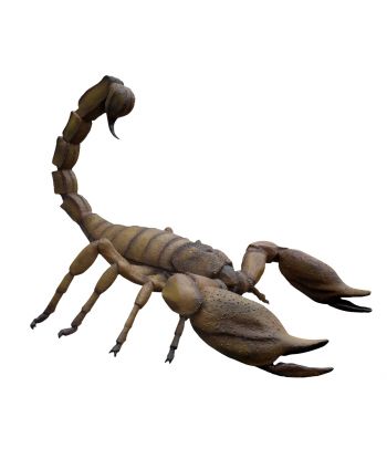 SKORPION XXXL