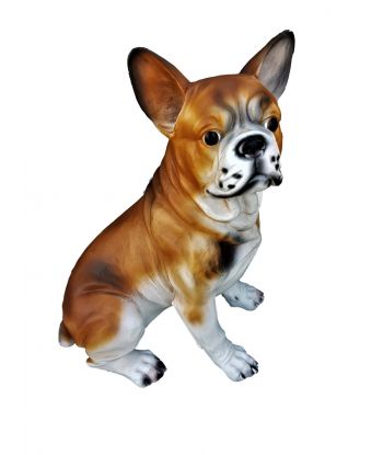 SIEDZĄCY BULDOG FRANCUSKI -...