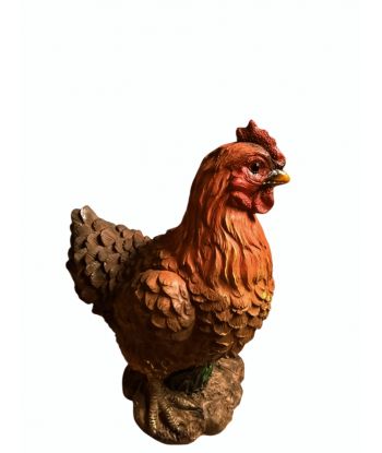 KURA / KURKA KOKOSZKA model...