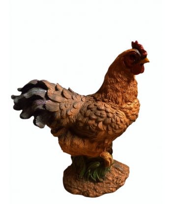KURA / KURKA KOKOSZKA model...