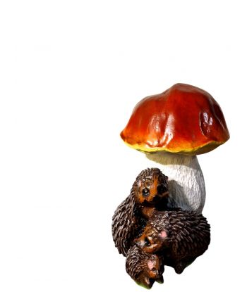 JEŻE POD GRZYBKIEM model V