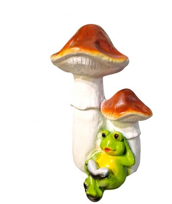 ŻABA Z KSIĄŻKĄ POD...