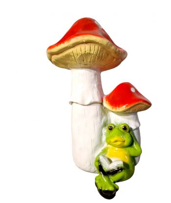 ŻABA Z KSIĄŻKĄ POD...