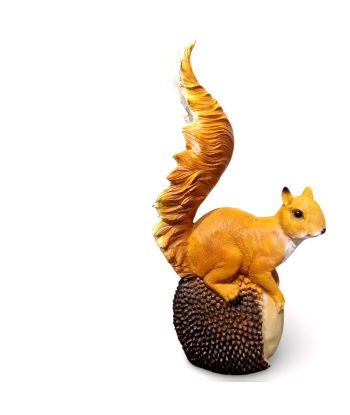 WIEWIÓRKA Z ORZECHEM XL...