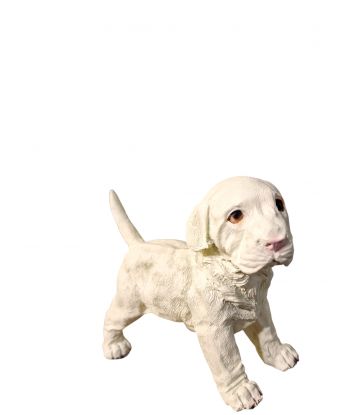 MAŁY STOJĄCY LABRADOR -...