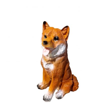 ŚREDNI SIEDZĄCY PIES - AKITA