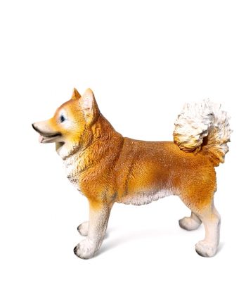 ŚREDNI STOJĄCY PIES - AKITA