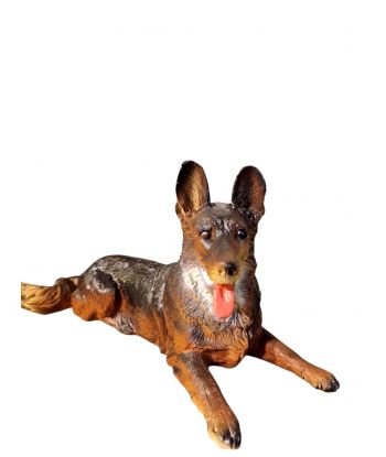 ŚREDNI LEŻĄCY OWCZAREK...