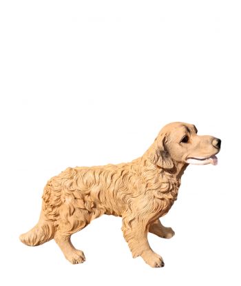 ŚREDNI STOJĄCY PIES -...