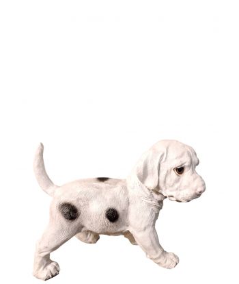 MAŁY STOJĄCY PIES SPANIEL -...