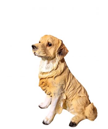 ŚREDNI SIEDZĄCY LABRADOR...