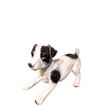 ŚREDNI STOJĄCY PIES - JACK...