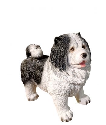 ŚREDNI STOJĄCY PIES - CHOW...