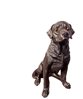 ŚREDNI SIEDZĄCY LABRADOR...