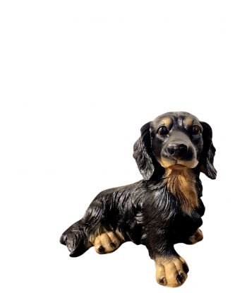 PIES JAMNIK DŁUGOWŁOSY...