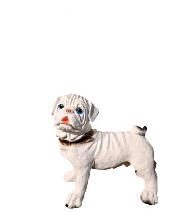 PIES ŚREDNI STOJĄCY BULDOG...