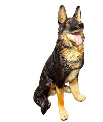 OWCZAREK NIEMIECKI SIEDZĄCY...