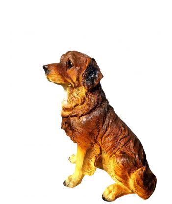 ŚREDNI SIEDZĄCY LABRADOR...