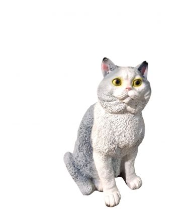 ŚREDNI SIEDZĄCY KOT...