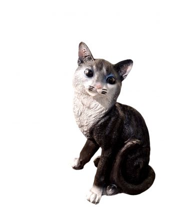 ŚREDNI SIEDZĄCY KOT...