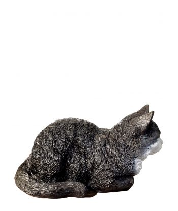 ŚREDNI ŚPIĄCY KOT BRYTYJSKI...