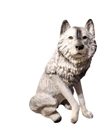 DUŻY SIEDZĄCY WILK