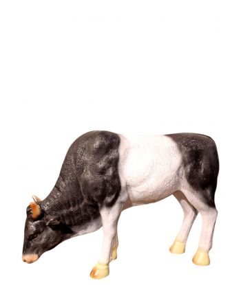 ŚREDNIA KROWA PASĄCA SIĘ...