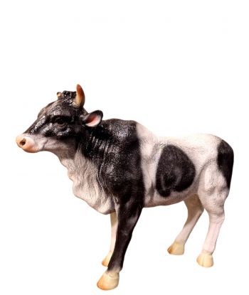 ŚREDNIA STOJĄCA KROWA / BYK...