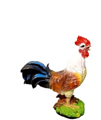 ŚREDNI KOLOROWY KOGUT /...