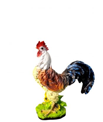 ŚREDNI KOLOROWY KOGUT /...