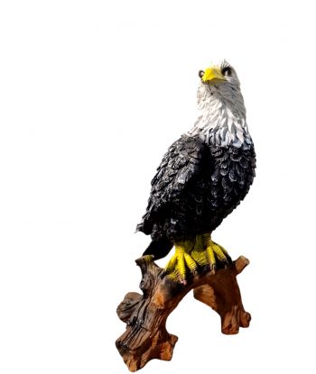 ORZEŁ SOKÓŁ NA PNIU model I