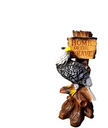 ORZEŁ SOKÓŁ Z TABLICZKĄ...