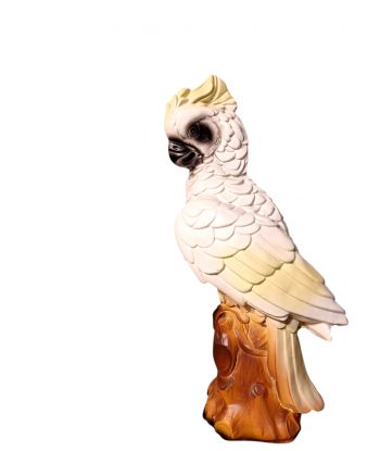 BIAŁA PAPUGA NA PNIU -...