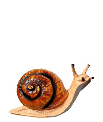 DUŻY ŚLIMAK model II