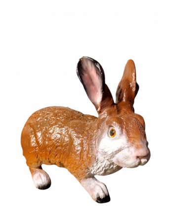 DUŻY SIEDZĄCY ZAJĄC /...