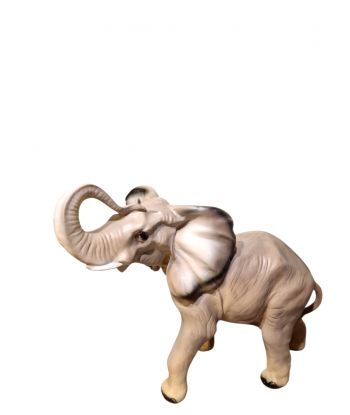 ŚREDNI SŁOŃ Z TRĄBĄ W GÓRZE...