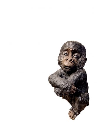 MAŁY GORYL MAŁPA SZYMPANS...