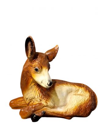 SARENKA , SARNA LEŻĄCA...