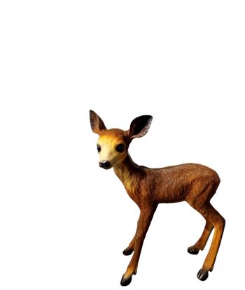 ŚREDNIA STOJĄCA SARNA model...