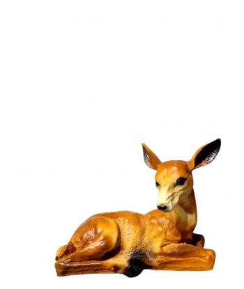 ŚREDNIA SARENKA , SARNA...