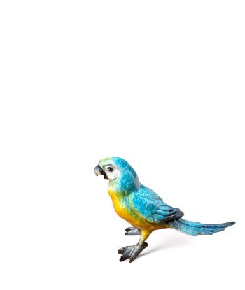 NIEBIESKA SIEDZĄCA PAPUGA...