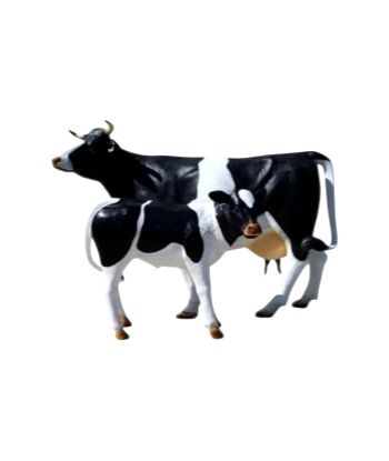 KROWA NATURALNYCH ROZMIARÓW...